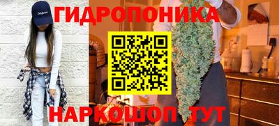 соль ск Краснодар